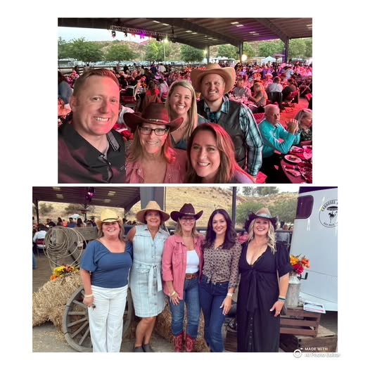 Governance and board work